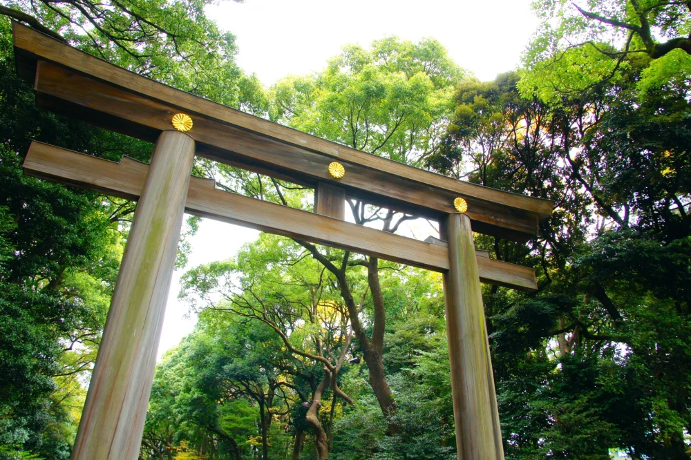 神社とお寺の違いを知ろう！宗教や参拝方法・建造物の違いを解説