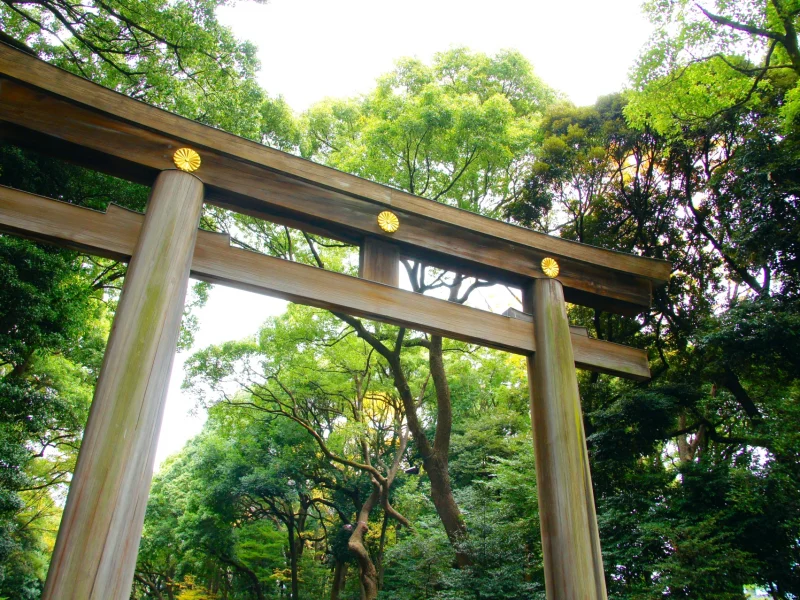 神社とお寺の違いを知ろう！宗教や参拝方法・建造物の違いを解説