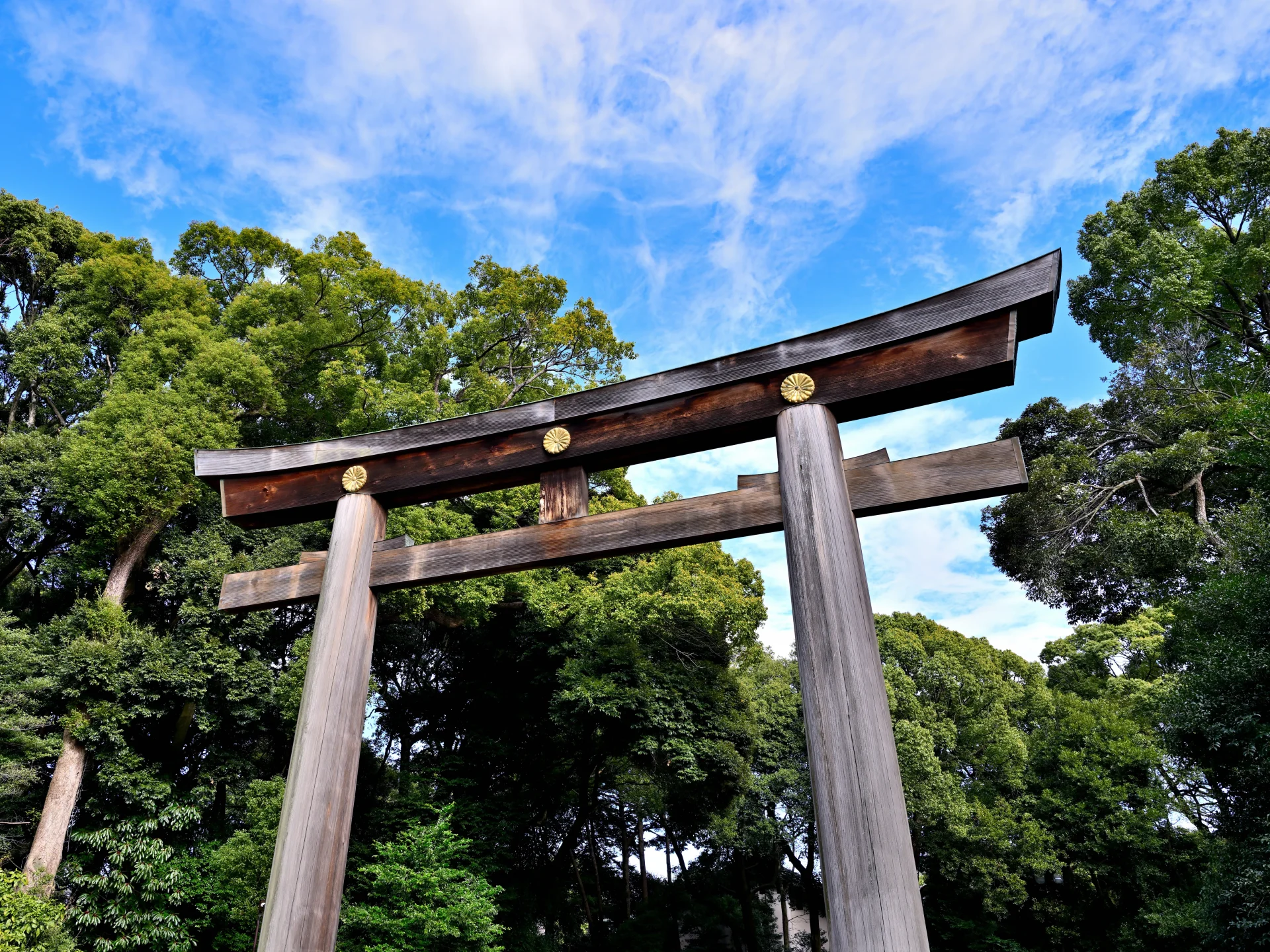 明治神宮　鳥居